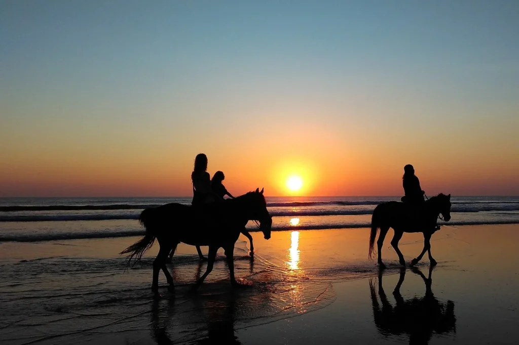 CAMEL & HORSE RIDING